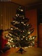 2005-12-18 Warszawa Ubieranie Choinki 5.jpg